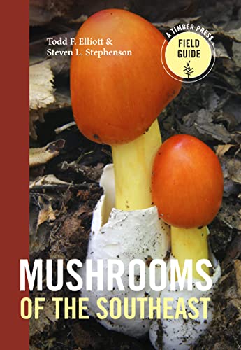 Beispielbild fr Mushrooms of the Southeast (A Timber Press Field Guide) zum Verkauf von SecondSale