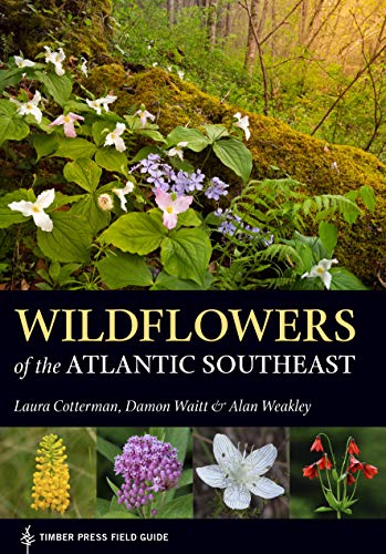 Beispielbild fr Wildflowers of the Atlantic Southeast zum Verkauf von Better World Books