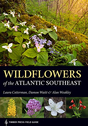 Stock image for Wildflowers of the Atlantic Southeast for sale by Blackwell's