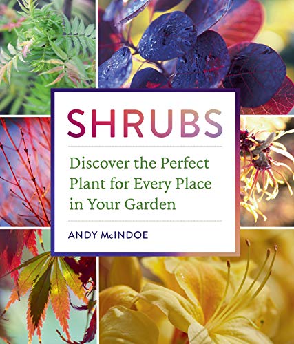 Imagen de archivo de Shrubs: Discover the Perfect Plant for Every Place in Your Garden a la venta por ThriftBooks-Atlanta