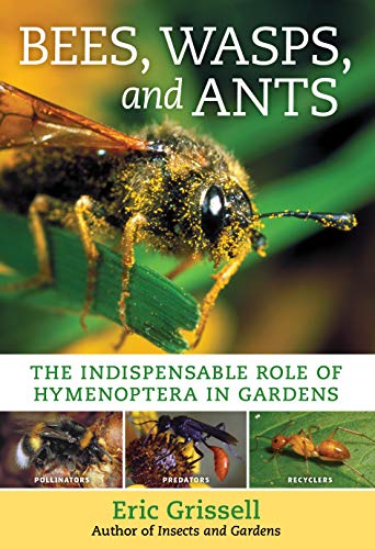 Stock image for Bees, Wasps, and Ants: The Indispensable Role of Hymenoptera in Gardens for sale by ThriftBooks-Atlanta