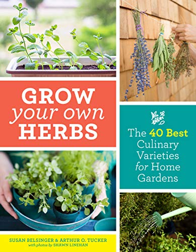 Stock image for Grow Your Own Herbs: The 40 Best Culinary Varieties for Home Gardens for sale by Zoom Books Company