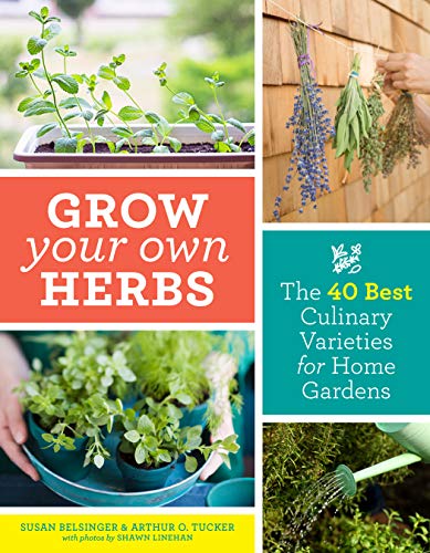 Stock image for Grow Your Own Herbs: The 40 Best Culinary Varieties for Home Gardens for sale by SecondSale