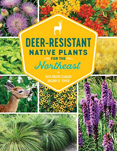 Stock image for Deer-Resistant Native Plants for the Northeast for sale by Bookoutlet1