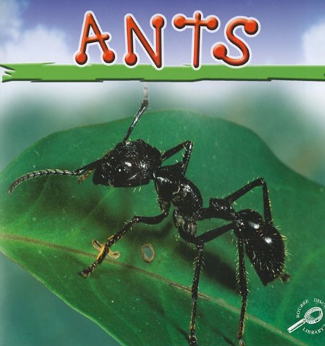 Beispielbild fr Ants (Insects Discovery Library) zum Verkauf von SecondSale