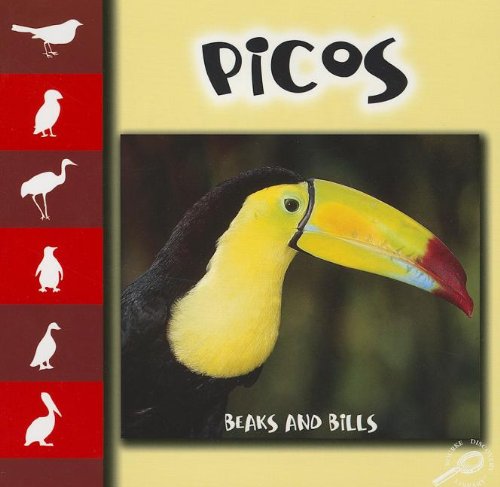 Picos/ Beaks and Bills (Spanish and English Edition) (9781604722758) by Stone, Lynn M.