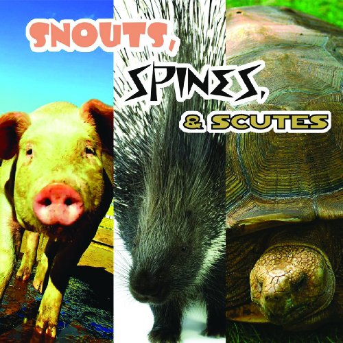 9781604723113: Snouts, Spines, & Scutes