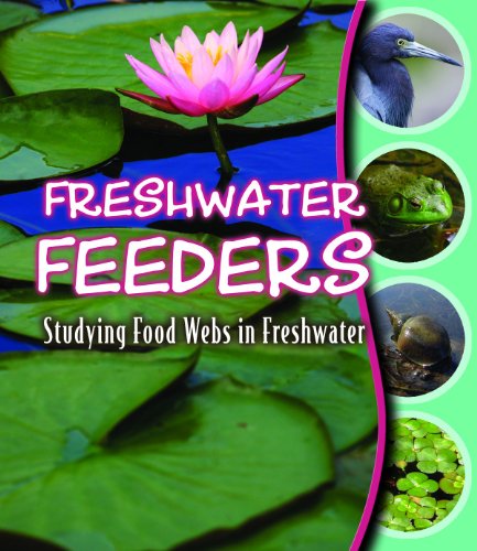 Beispielbild fr Freshwater Feeders : Studying Food Webs in Freshwater zum Verkauf von Better World Books
