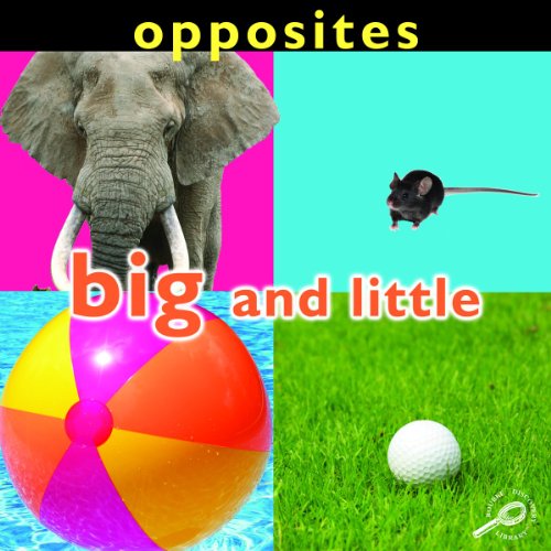 9781604724172: Opposites: Big and Little (Concepts (Hardcover Rourke))