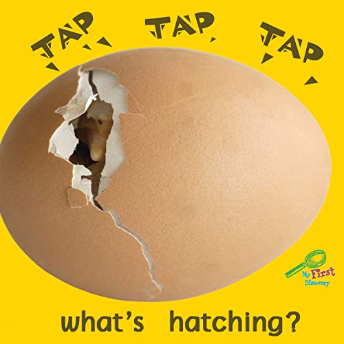 Beispielbild fr Tap, Tap, Tap - What's Hatching? zum Verkauf von Better World Books