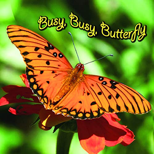 Beispielbild fr Busy, Busy, Butterfly zum Verkauf von Better World Books