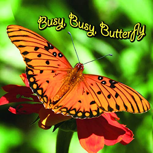 9781604724561: Busy, Busy Butterfly (Rourke Board Books)