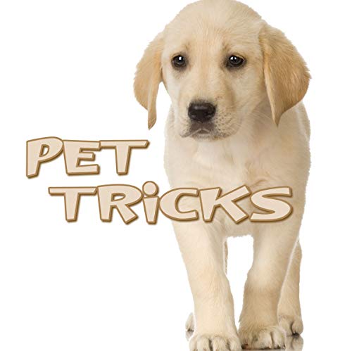 Stock image for Pet Tricks for sale by Better World Books