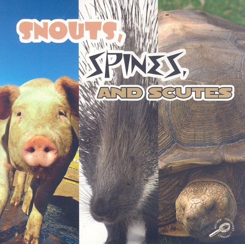 Snouts, Spines, & Scutes (What Animals Wear) (9781604727890) by Stone, Lynn M.