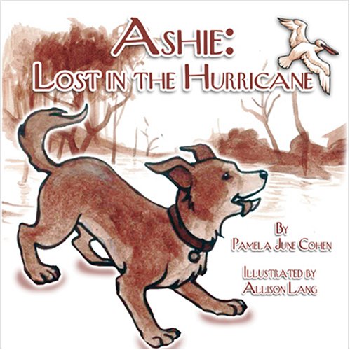 Stock image for Ashie: Lost in the Hurricane for sale by Revaluation Books