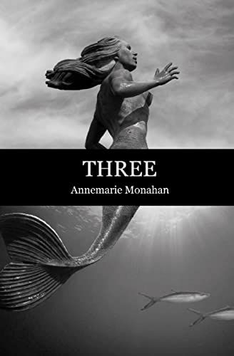 Three (Flashpoint Press)