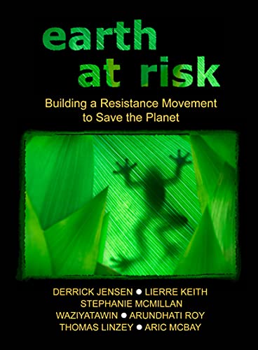 Stock image for Earth at Risk: Building a Resistance Movement to Save the Planet (Flashpoint Press) for sale by Wonder Book