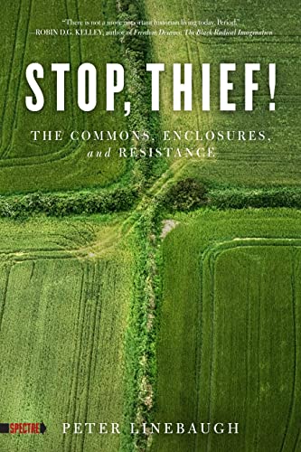 Beispielbild fr Stop, Thief!: The Commons, Enclosures, and Resistance (Spectre) zum Verkauf von Half Price Books Inc.