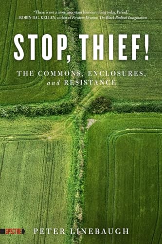 Stock image for Stop, Thief!: The Commons, Enclosures, and Resistance (Spectre) for sale by Half Price Books Inc.