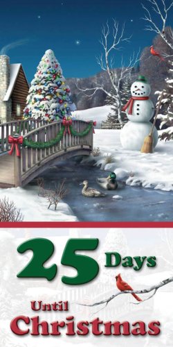 Christmas Countdown Magnet (9781604933635) by [???]
