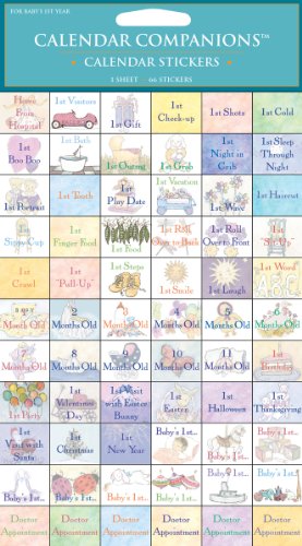 Baby's First Year Stickers: For Your Calendar (9781604934472) by Time Factory