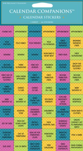 Pregnancy Planning Stickers: For Your Calendar (9781604934519) by Time Factory