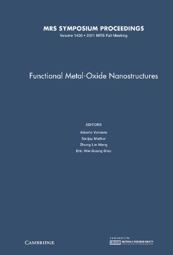 Beispielbild fr FUNCTIONAL METAL-OXIDE NANOSTRUCTURES zum Verkauf von Basi6 International
