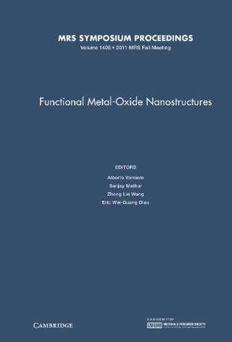 Imagen de archivo de FUNCTIONAL METAL-OXIDE NANOSTRUCTURES a la venta por Basi6 International