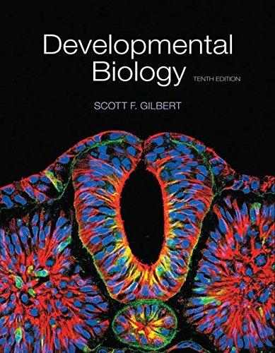 Imagen de archivo de Developmental Biology a la venta por dsmbooks
