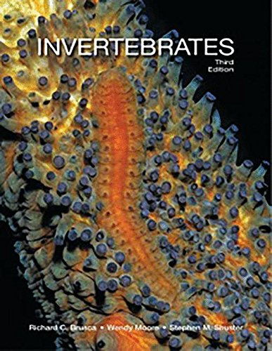 Imagen de archivo de Invertebrates a la venta por GF Books, Inc.