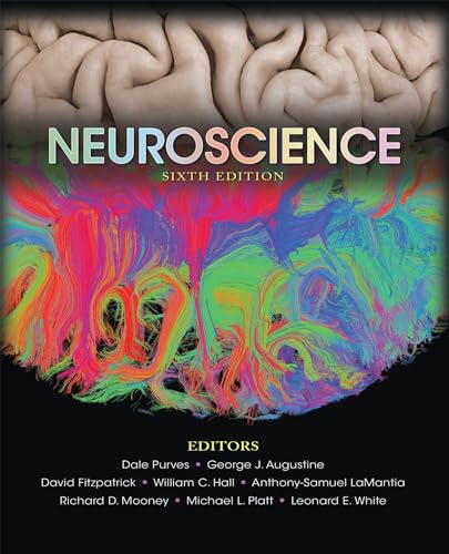 Imagen de archivo de Neuroscience a la venta por Big River Books