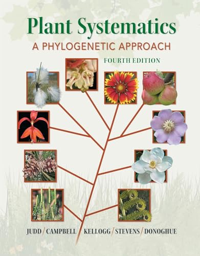 Stock image for Plant Systematics: A Phylogenetic Approach for sale by BooksRun