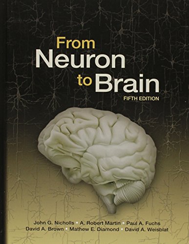 9781605353920: From Neuron to Brain