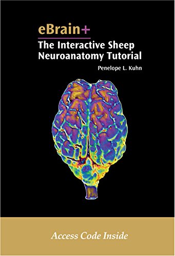 9781605354743: Ebrain+ The Interactive Sheep Neruoanatomy Tutorial Access Code: The Interactive Sheep Neuroanatomy Tutorial