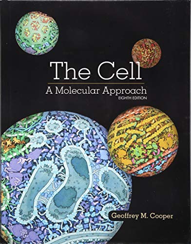 Stock image for The Cell: A Molecular Approach for sale by Indiana Book Company