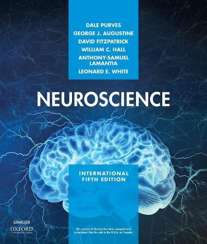Beispielbild fr Neuroscience zum Verkauf von WorldofBooks