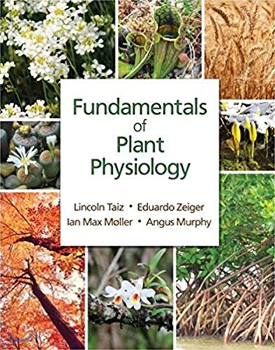 Imagen de archivo de Fundamentals of Plant Physiology a la venta por BooksRun