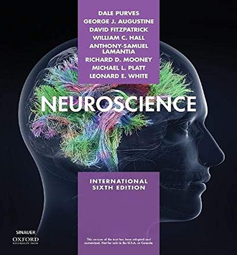 Imagen de archivo de Neuroscience XE a la venta por HPB-Red