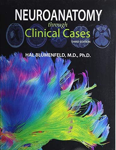 Imagen de archivo de Neuroanatomy through Clinical Cases a la venta por Textbooks_Source