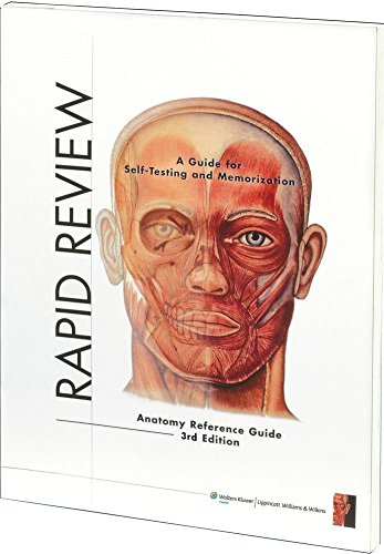 Stock image for Rapid Review: Anatomy Reference Guide for sale by Wonder Book