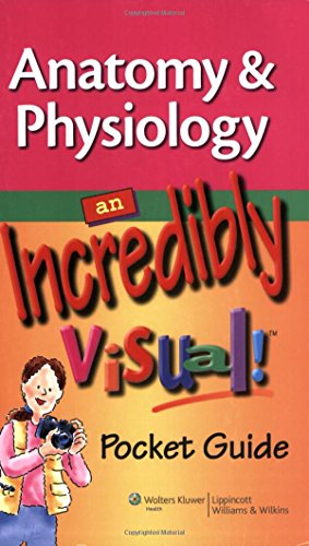 Stock image for Anatomy Physiology: An Incredibly Visual! Pocket Guide for sale by KuleliBooks
