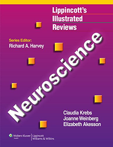 Stock image for Lippincott's Illustrated Review of Neuroscience (Lippincott's Illustrated Reviews) for sale by HPB-Red
