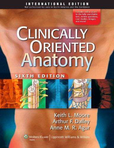 Beispielbild fr Clinically Oriented Anatomy zum Verkauf von AwesomeBooks