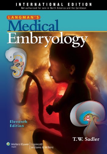 Beispielbild fr Langman's Medical Embryology zum Verkauf von WorldofBooks