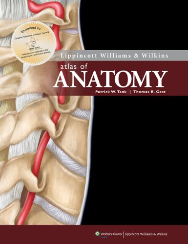 Stock image for Lippincott Williams & Wilkins Atlas of Anatomy for sale by HPB Inc.
