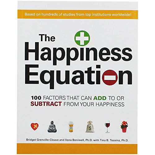 Stock image for The Happiness Equation: 100 Factors That Can Add To or Subtract From Your Happiness for sale by SecondSale