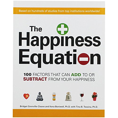 9781605500348: The Happiness Equation: 100 Factors That Can Add to or Subtract from How Happy You Are