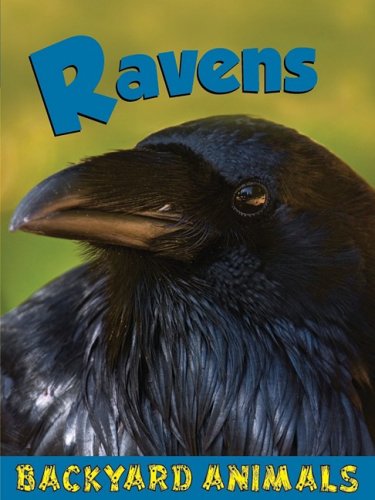 9781605960821: Ravens (Backyard Animals)
