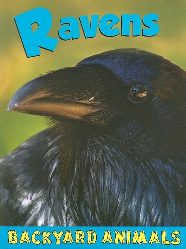 Stock image for Ravens for sale by Better World Books