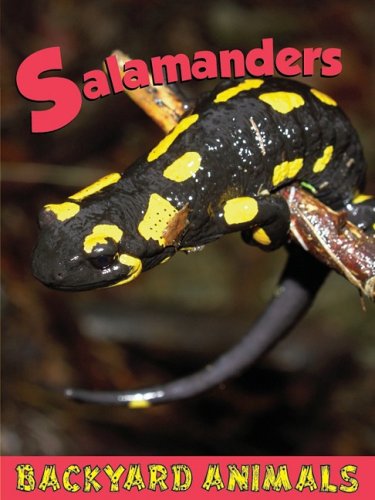Stock image for Salamanders for sale by Better World Books